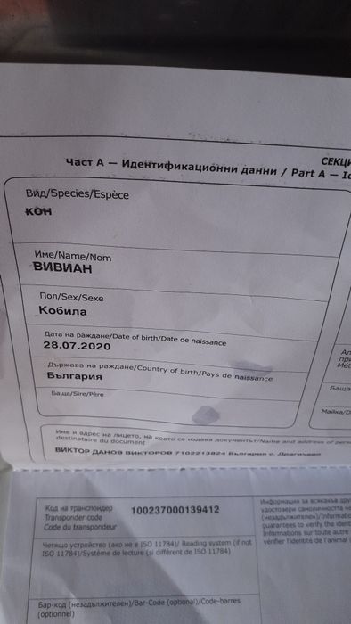 Черна кобила =дунавка