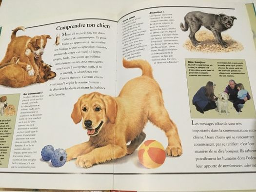 2 детски книжки на френски и английски език Les Chiens кучета