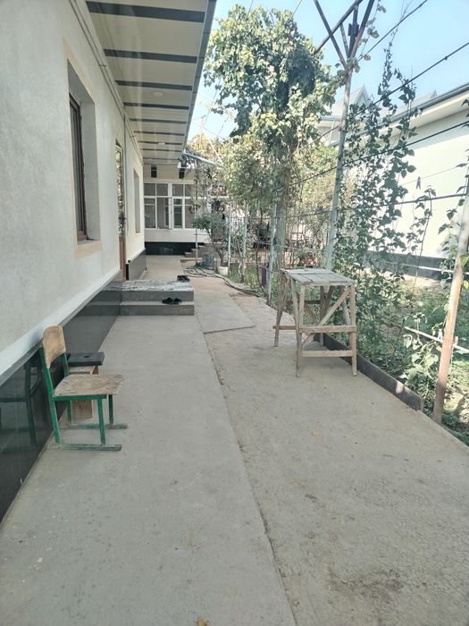 Toshket shahar yashnobod tuman katta olmas maxlasiy