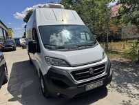 Fiat ducato frigorific
