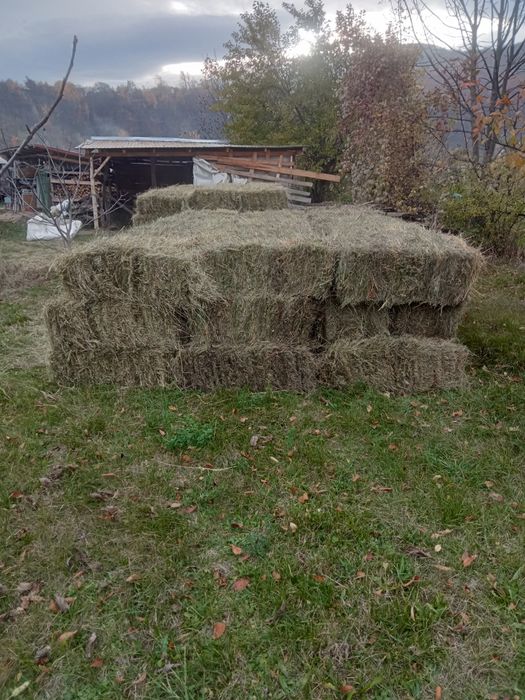 Vând baloți amestec lucernă și fân