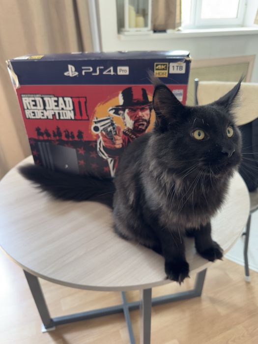 PS4 pro в идеальном состоянии