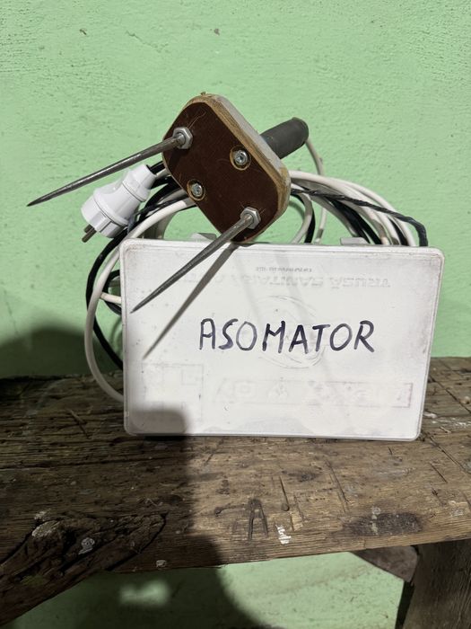 Asomatoare porci