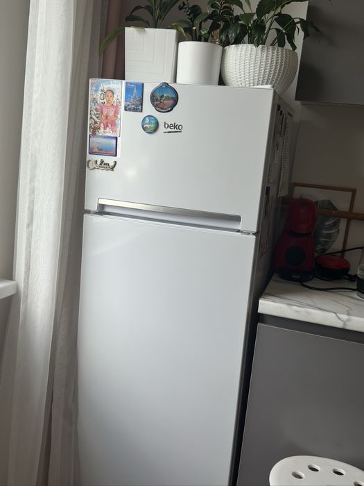 Холодильник Beko. Недорого. Срочно