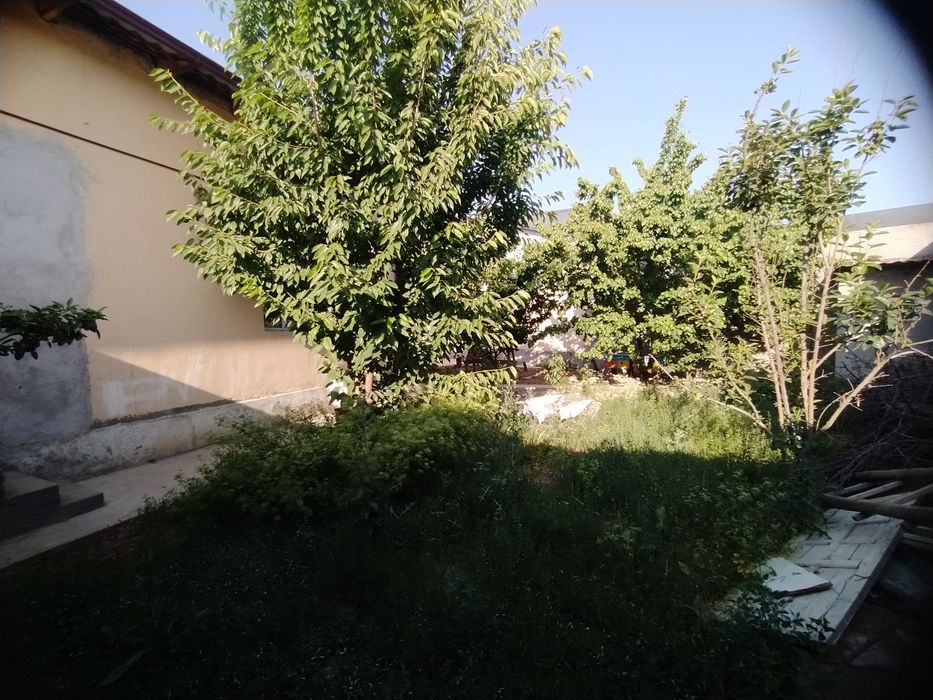 Mirzo Ulug'bek tumani Zakovat mahalla Katejlar