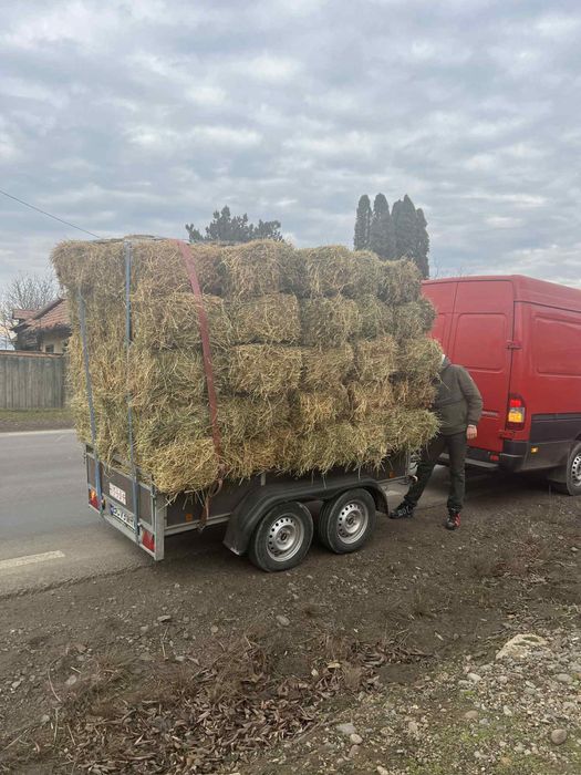 Baloți-fân-lucernă-otavă