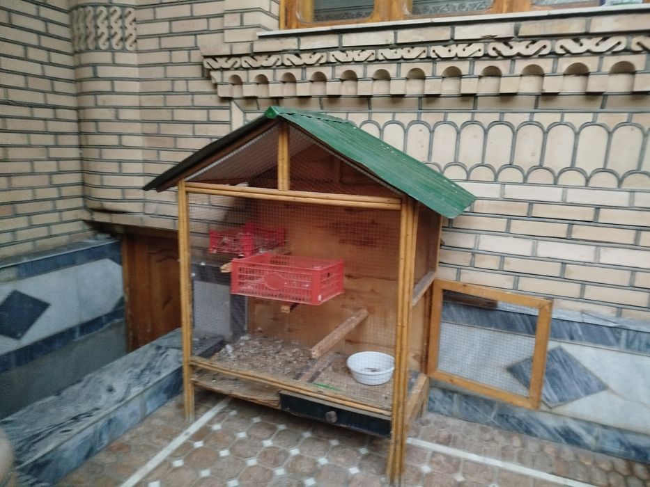 Кушлани ини клетка для птиц