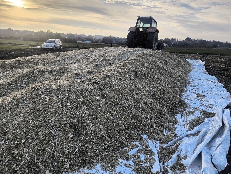 Vând siloz de porumb