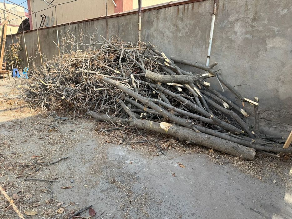 Дрова Отын Дрова