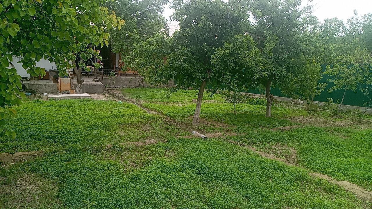 Xovli sotiladi  eski shaharda