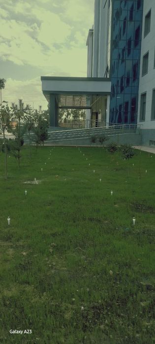 Landshaft oʻsimliklari