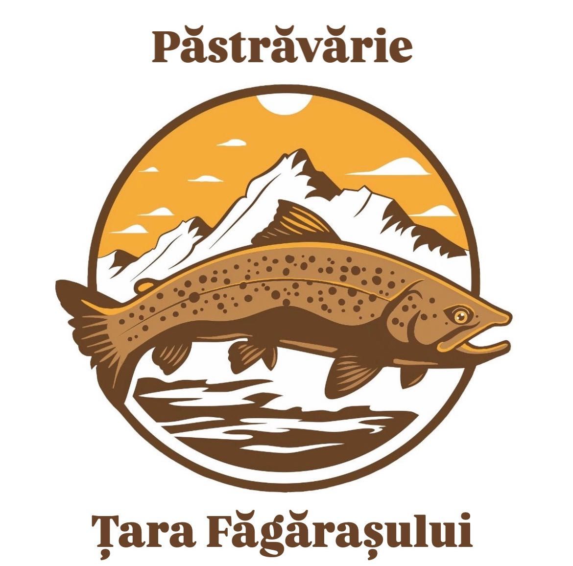 Puiet păstrăv 3-5g curcubeu precomandă