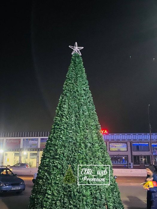 Кракссные уличные ёлки /Archa