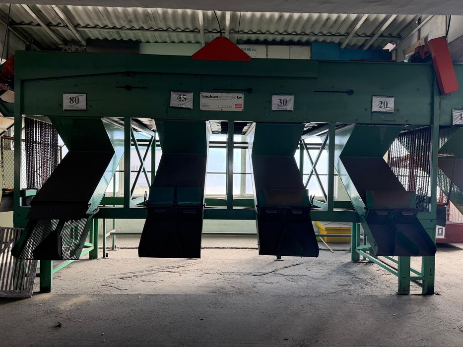 Statie de sortare castraveti cornison