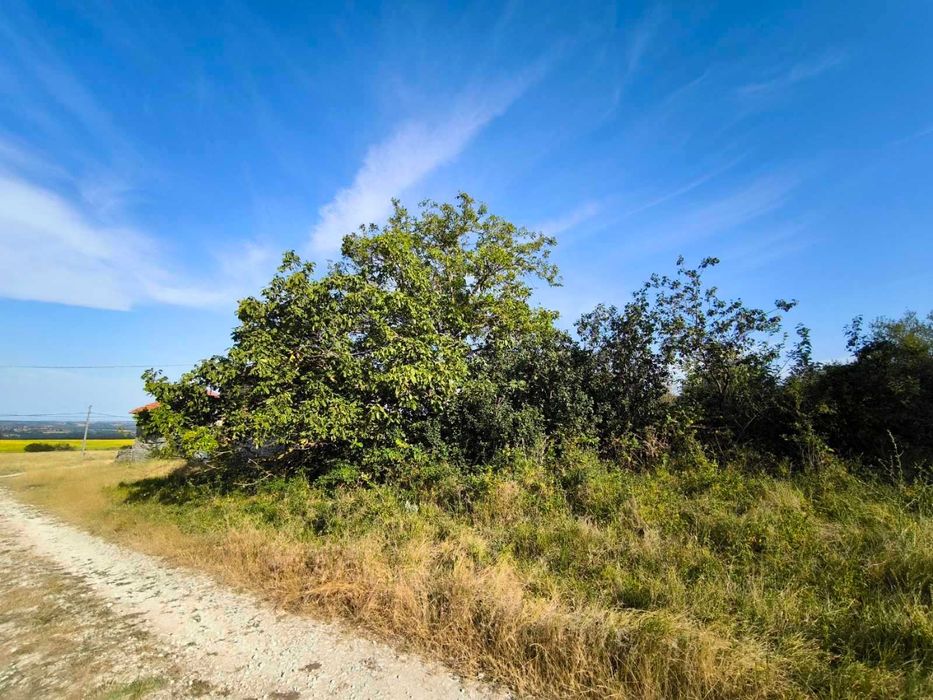 Дворно място в с. Аврен, обл. Варна