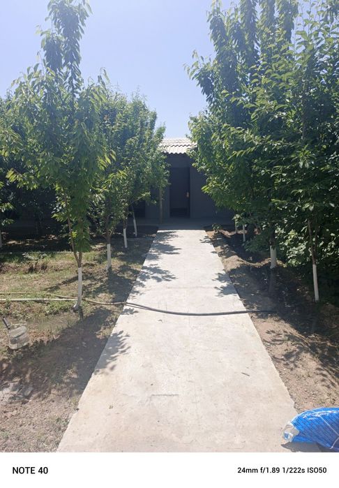 Dacha toytepa 6 sotix SROCHNA