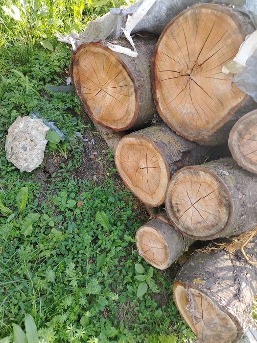 Lemn de cireș uscat