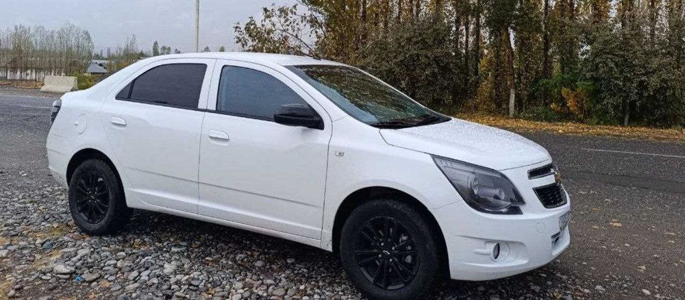 Cobalt midnight 2025