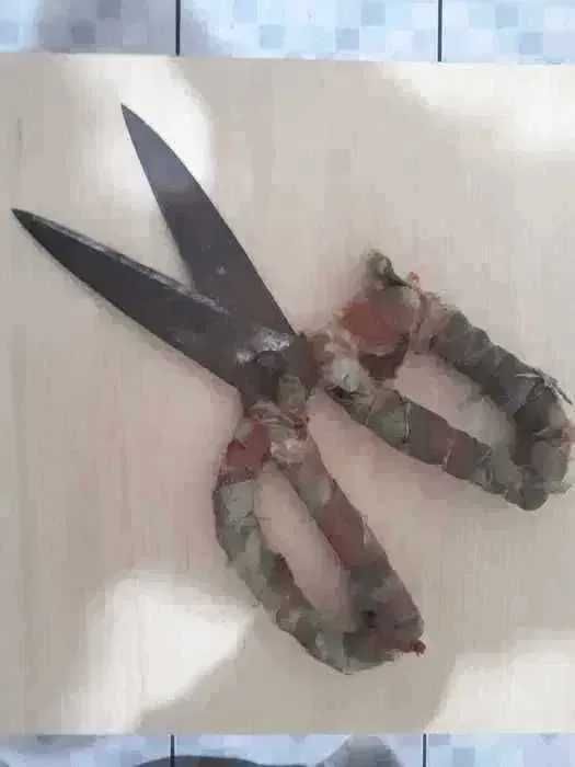 Veche foarfeca din anii 60 folosita in zootehnie