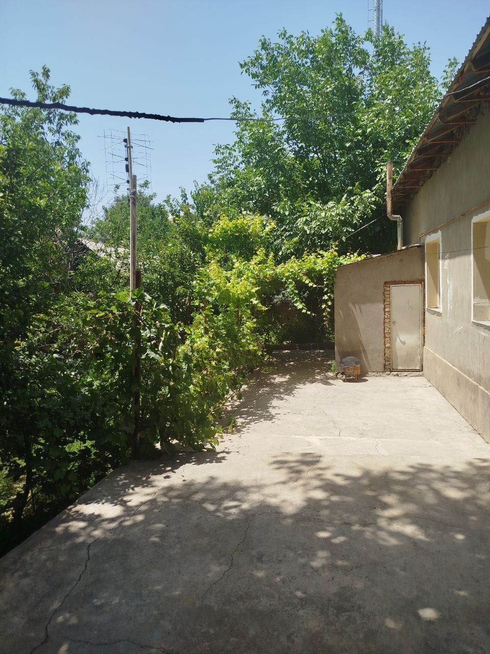 Ховли Чирчик Кипчокда