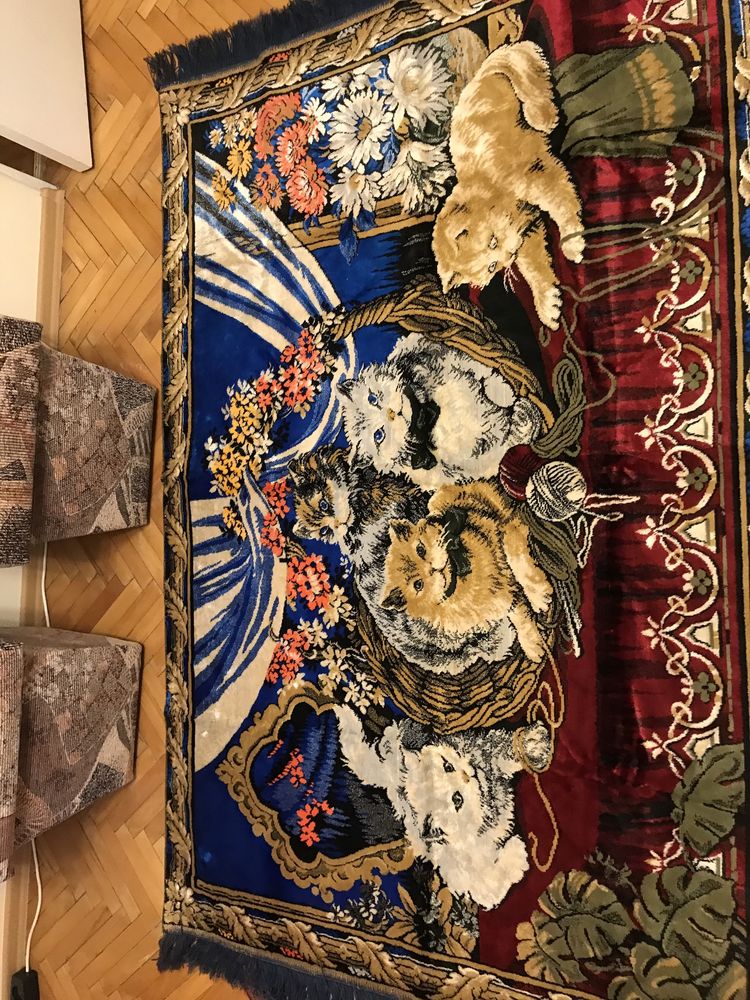 Carpeta cu pisici