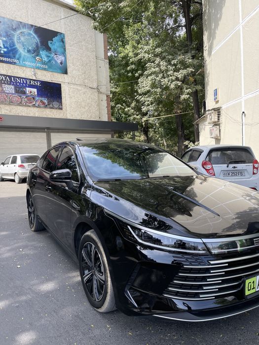 BYD chazor 4 pozidsa Flagship
