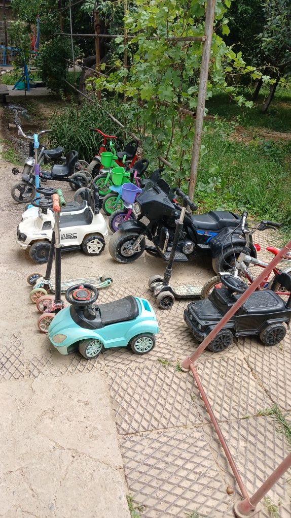 Bu veliklar samakatlar
