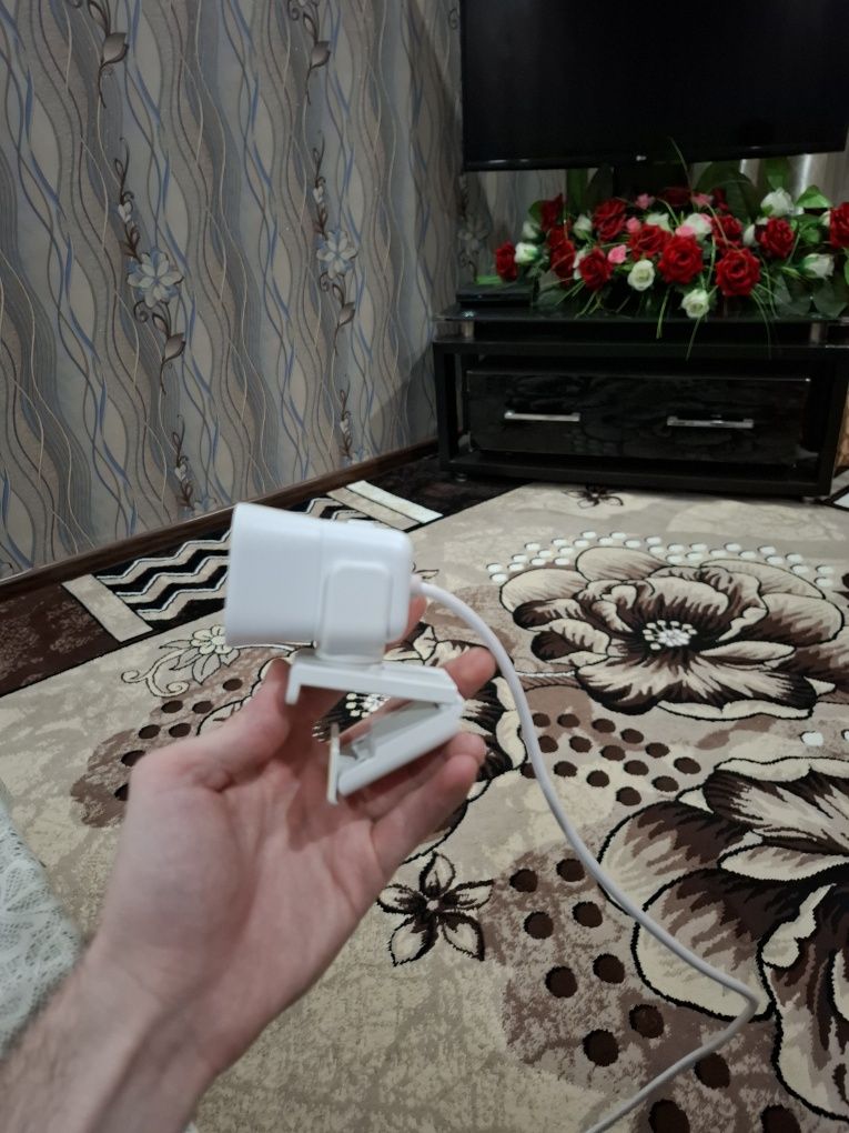 Web camera Logitech 1080/60