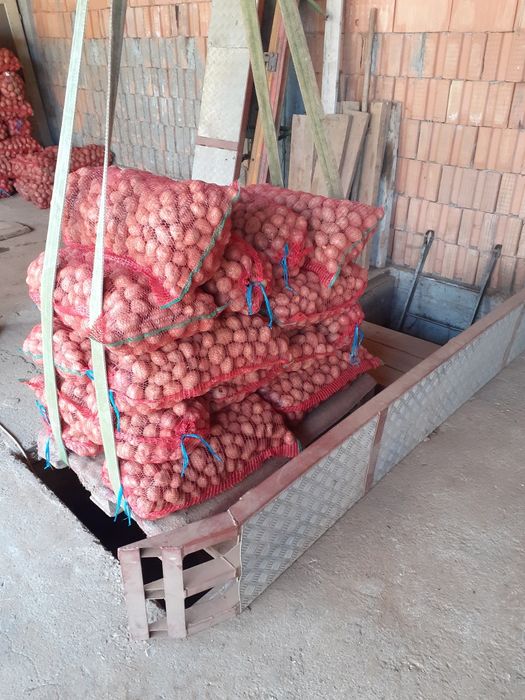 Cartofi pentru animale