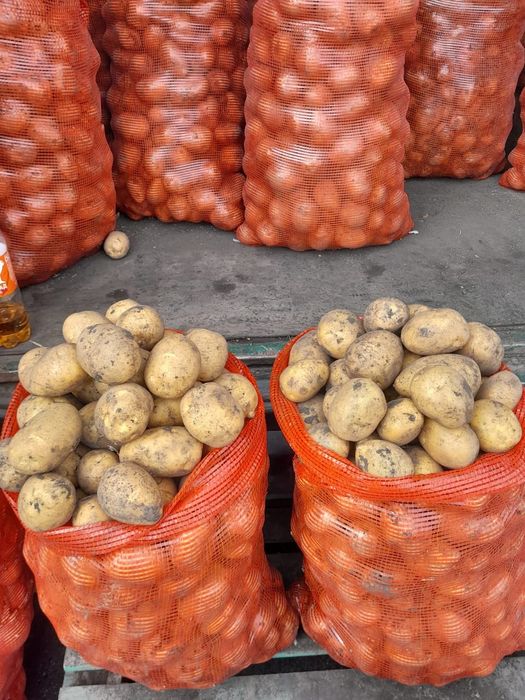 Картофель оптом пптом