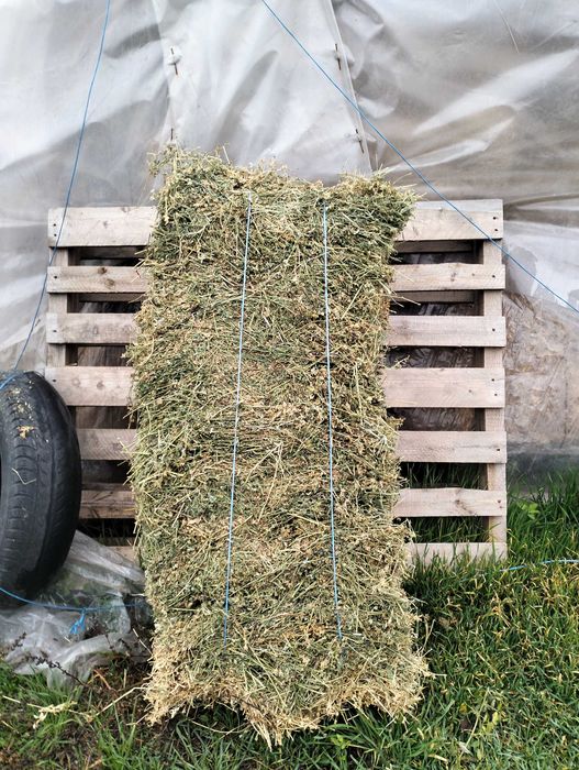 Vând baloți de lucernă