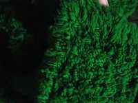 Китеник в  зелен цвят