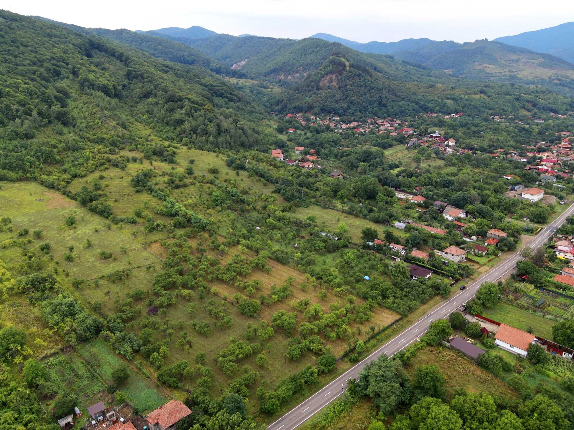 CASA CU LIVADA aproape 2 hectare la sosea Valea Buzaului (Patarlagele)