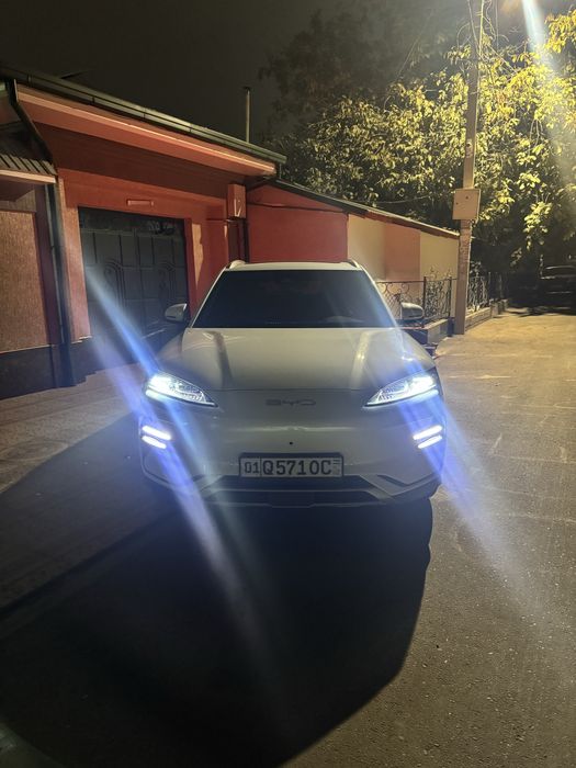 BYD Chempion 605/2023