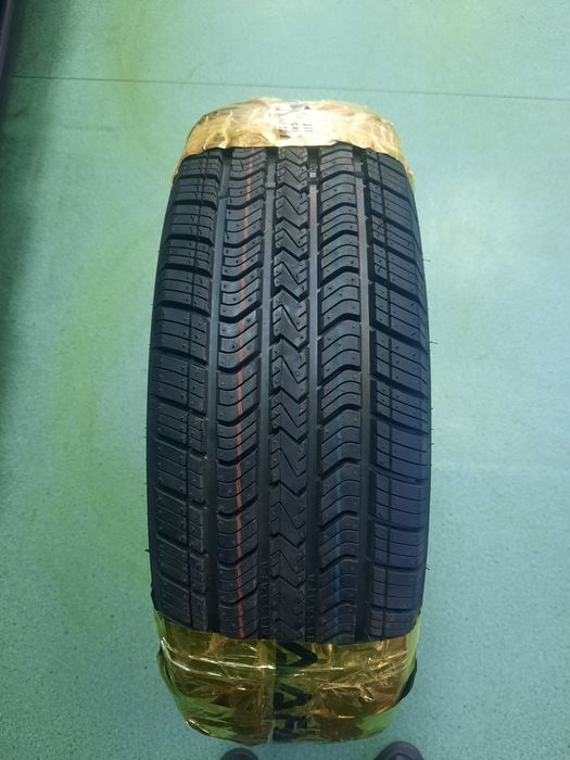 Masafa 2025 razmerla bor