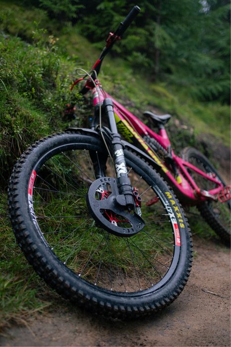 SHREDSAFE - Disc Guard