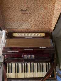 Acordeon Royal Standard