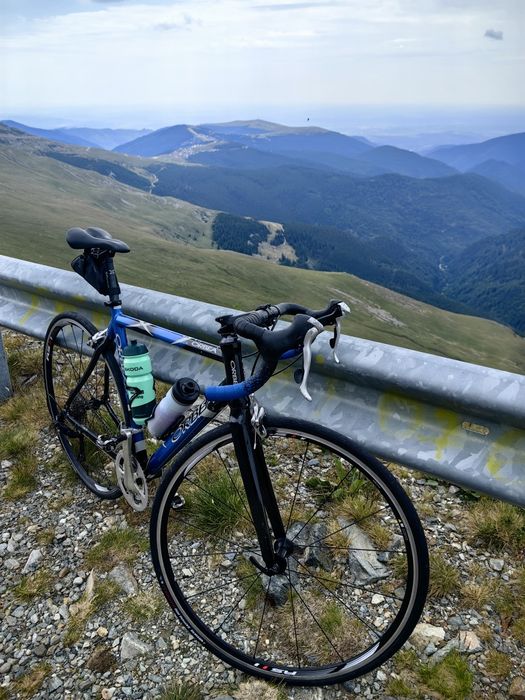 Cursiera Orbea Asphalt mărimea M (54 cm)