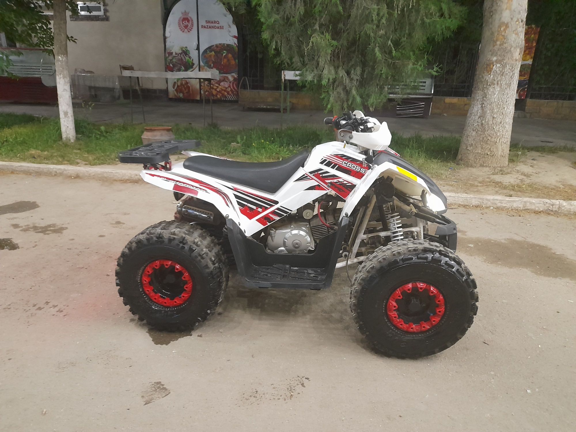 Sharmax sport 01