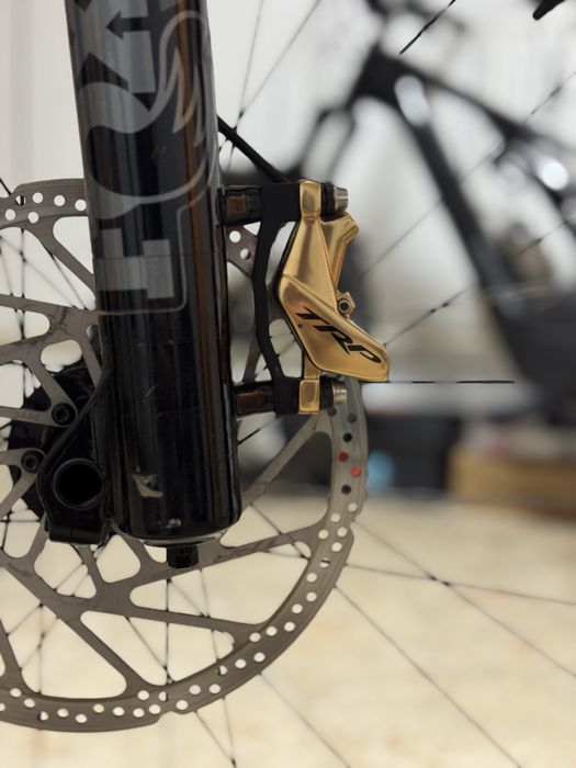 Frâne Trp dhr evo gold