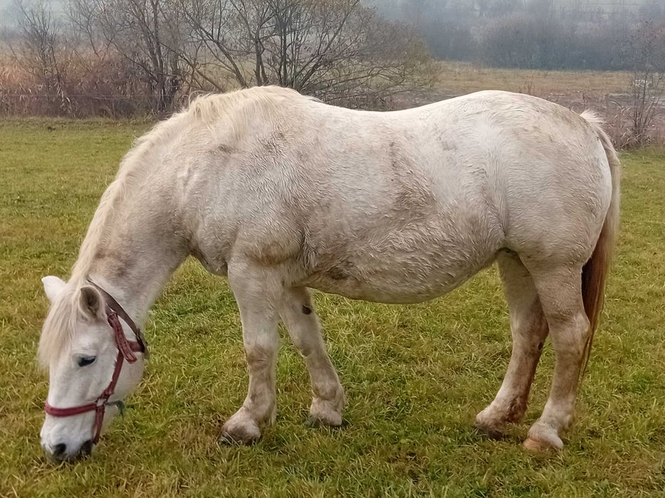Vand iapa pentu alte detalii în privat!