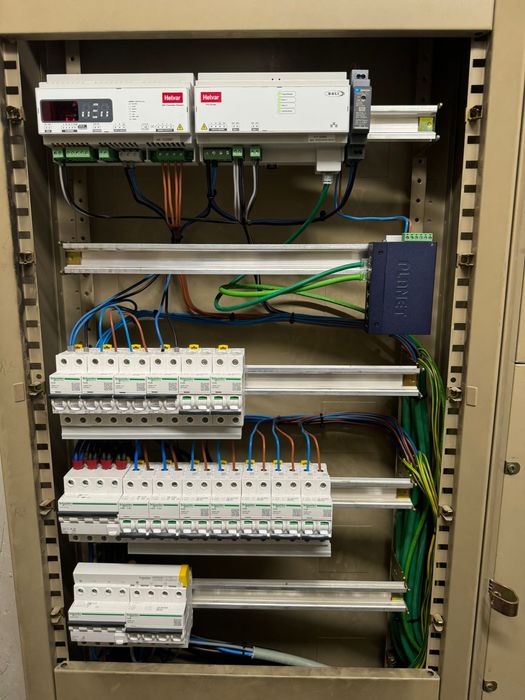 Electrician cu experiența