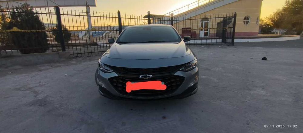 Malibu Xl kraska tozza 2023