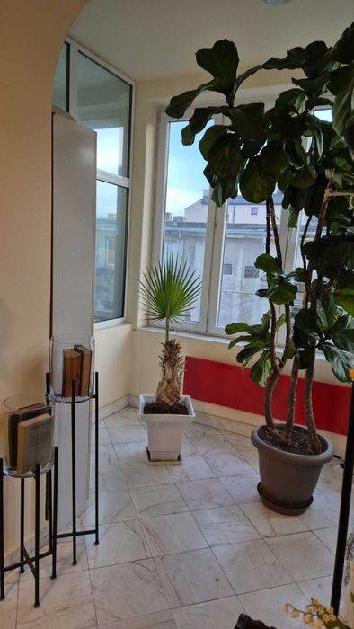 Продава се Двустаен апартамент в Варна, Централна поща - 66 кв.м за 3334 €/кв.м - Снимка #8