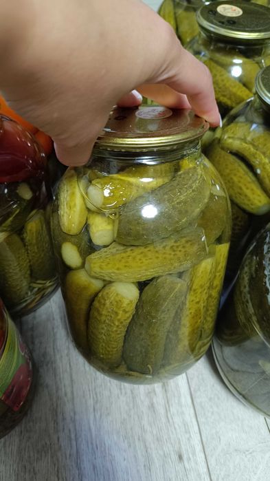 Соленья домашние