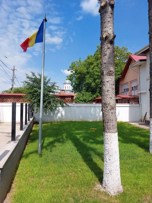 Afumați IF - casă/vilă mare, cu 8 dormitoare, 7 băi, amplasată pe DN 2