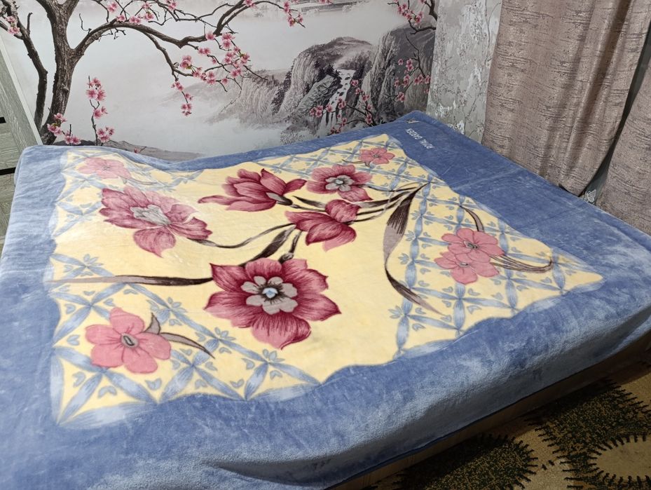 Плед Новый двухсторонний 180*220см