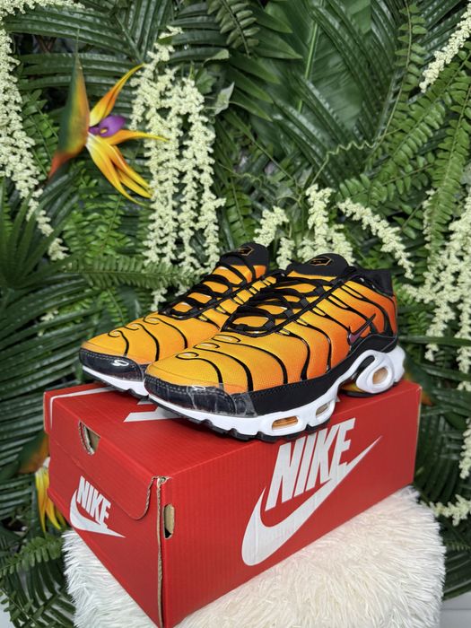 Nike Air Max Plus TN Sunset
