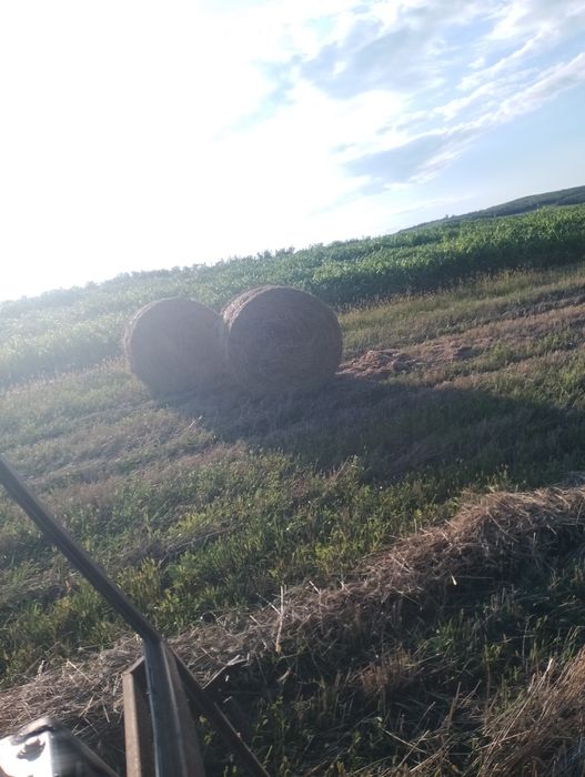 Vând baloți de paie