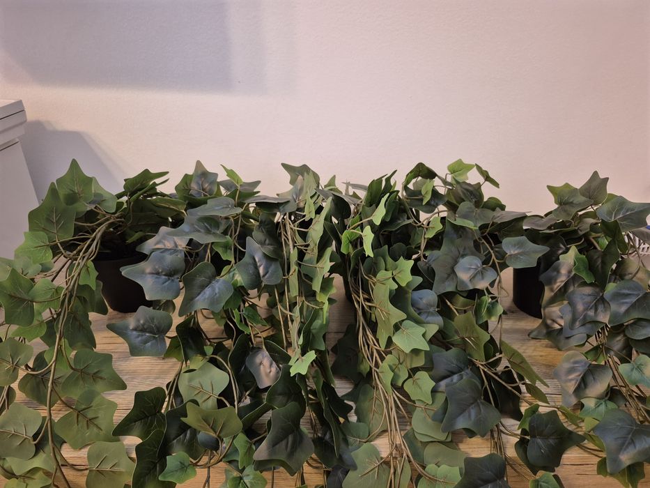 6 x Fejka Ikea plantă artificială iedera,interior/exterior/suspendată